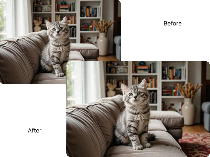 Create Fun Pet Animations