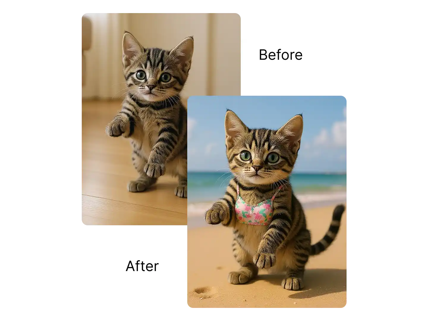 Generate Various Types of Bikini with Any Photos