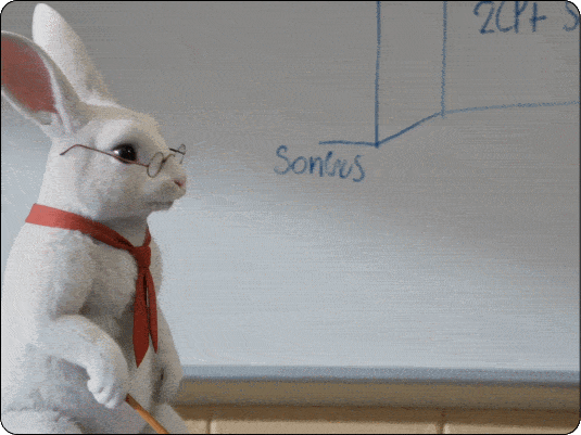 Animated Educational Videos