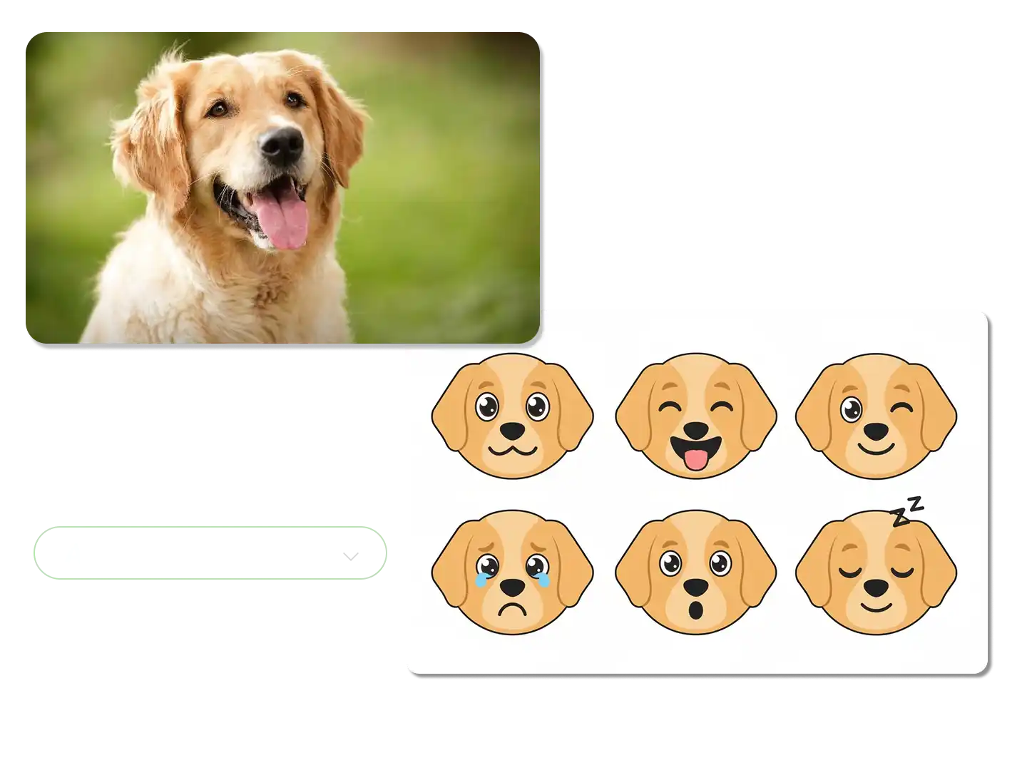 Special emoji types