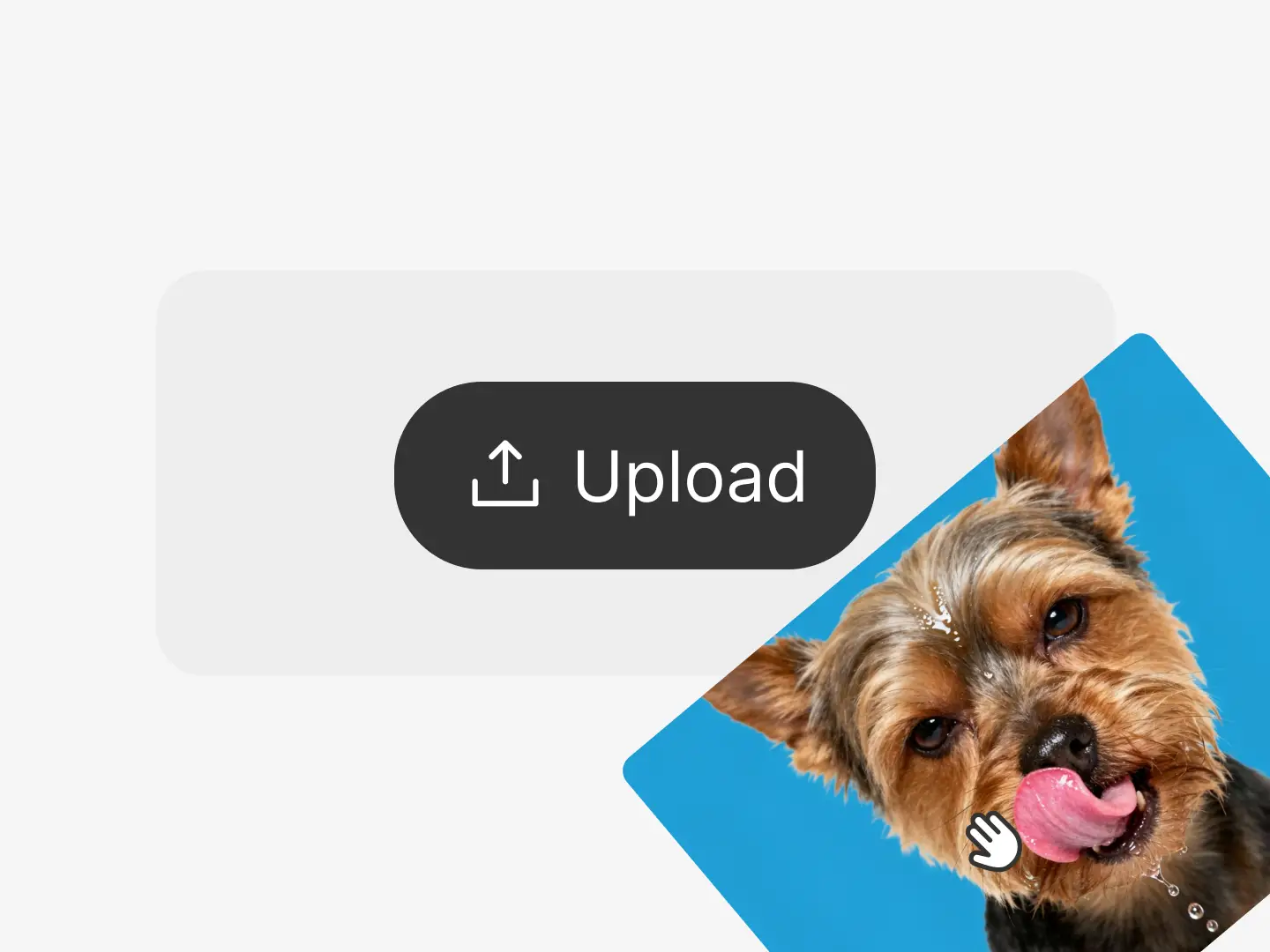 Upload Your Pet's Photo