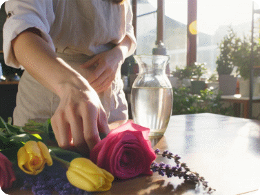 AI video agent multi-platform