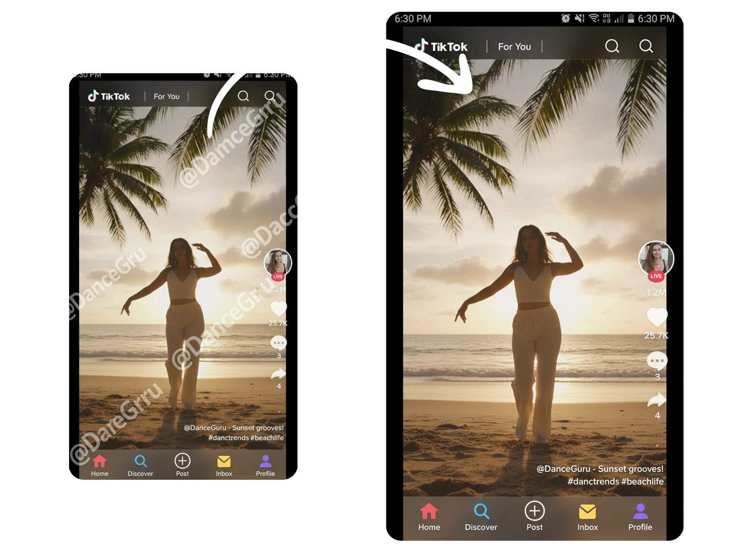 Remove TikTok Watermark