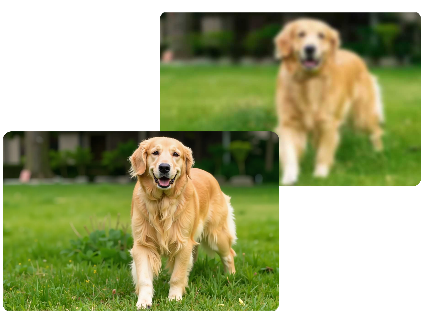 Enhance and upscale images