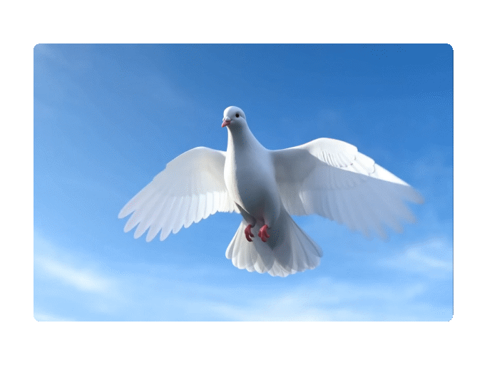 Ray3 generate video with realistic effects