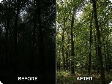 Underexposed landscape photo brightened with Dzine’s Photo Brightener, revealing hidden scenery details