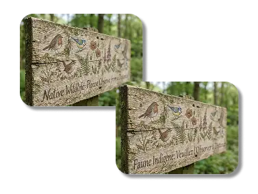 Precision Text Rendering and In-Image Localization