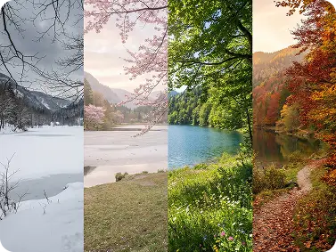 Reasoning-Guided Image Generation