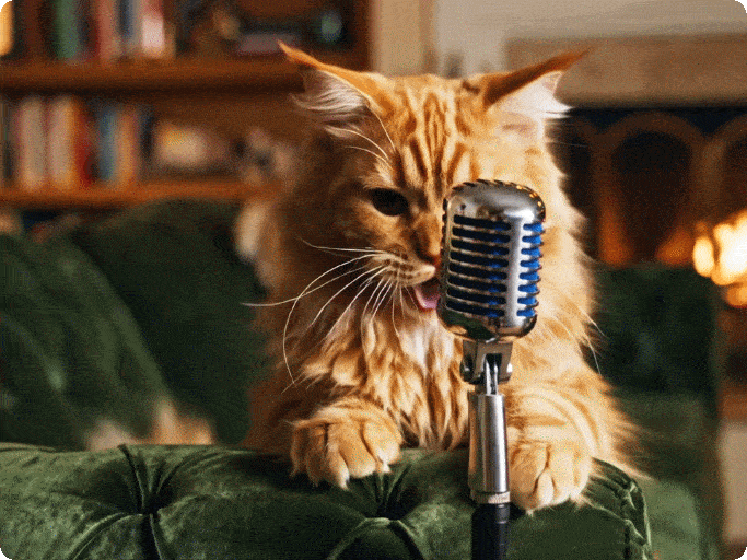 Viral social media singing animal