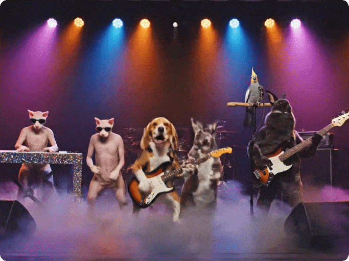 4-animal singing group