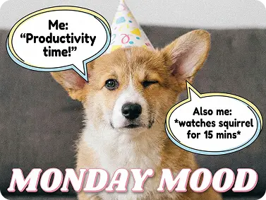 Hilarious Meme Speech Bubbles