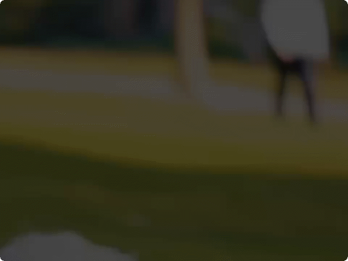 Fix motion blur instantly