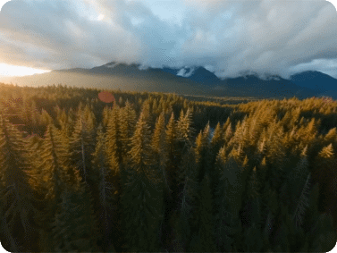 AI video agent conversational creation