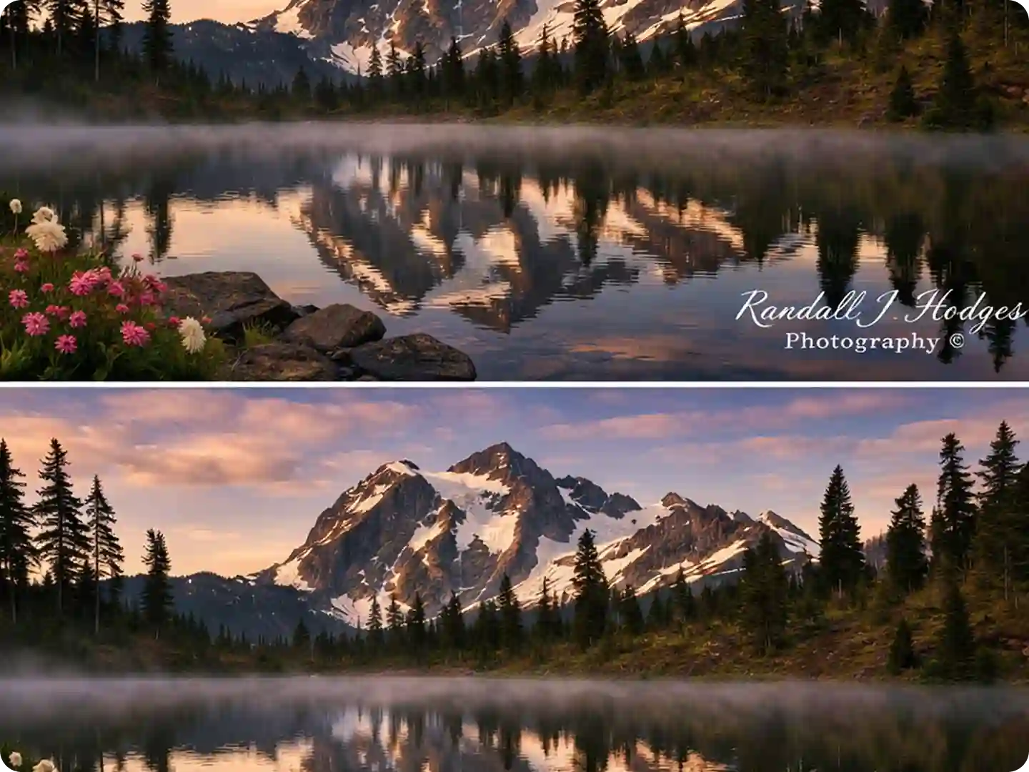 Remove More Objects Besides Watermarks