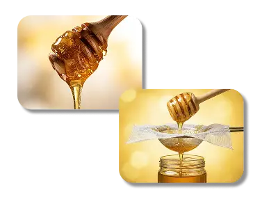 Powerful Image to Image Transformation